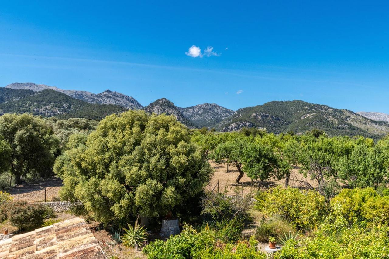 Finca Son Arnau Selva  Eksteriør billede